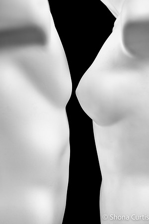The Space Between