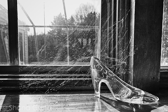 Dreams Gone By